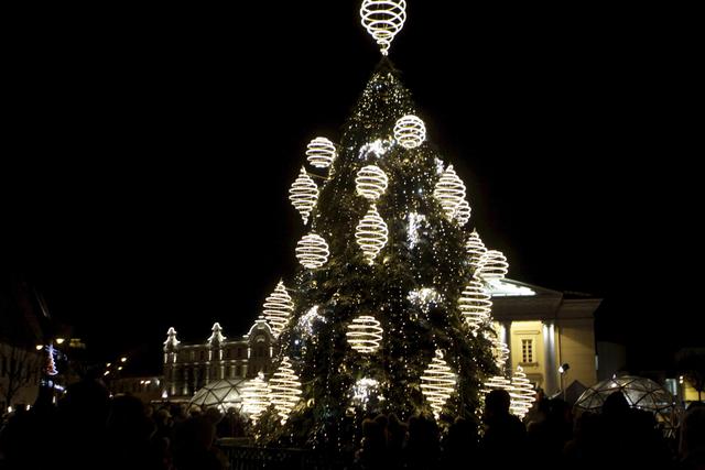 City erects Christmas tree in Vilmius