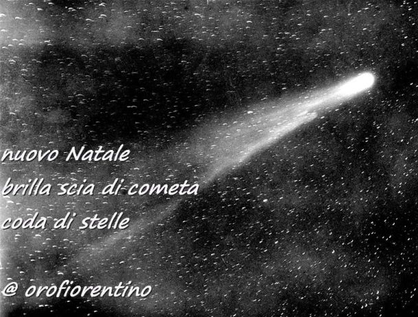 halleys_comet_1910-a (1)